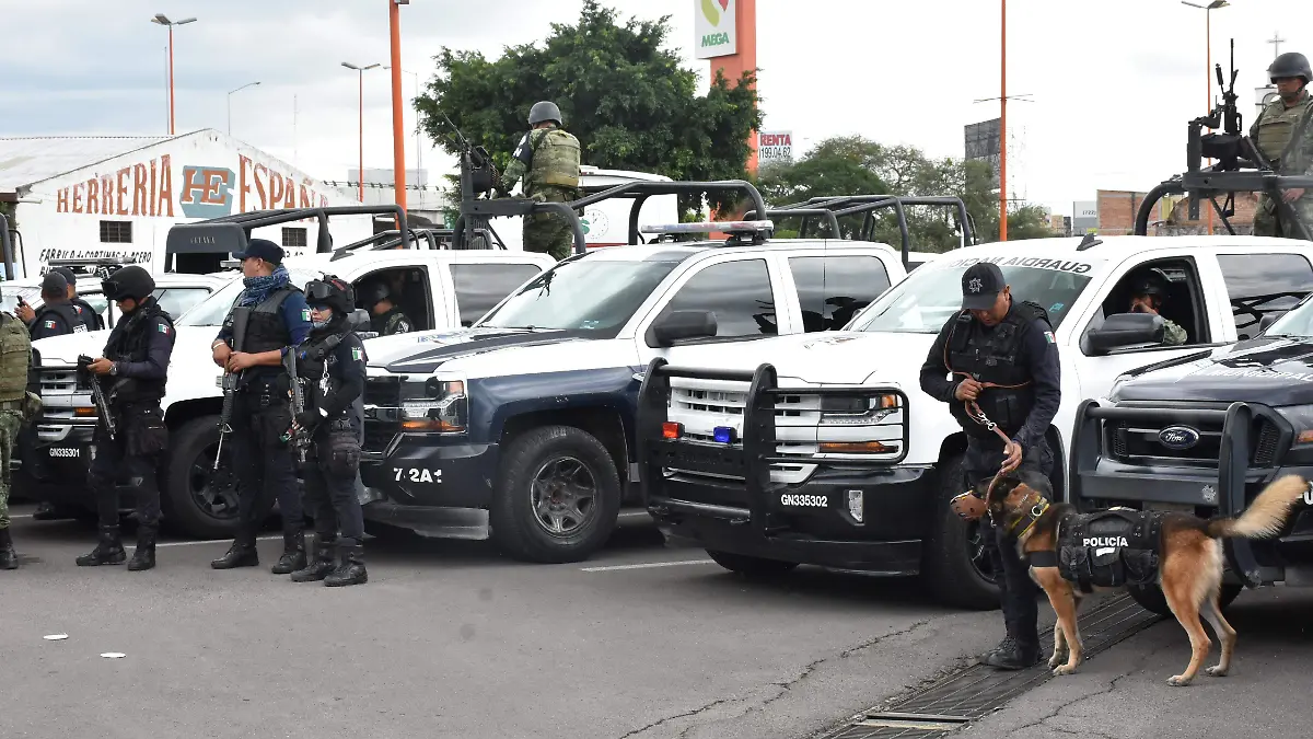 Operativo Conjunto (1)