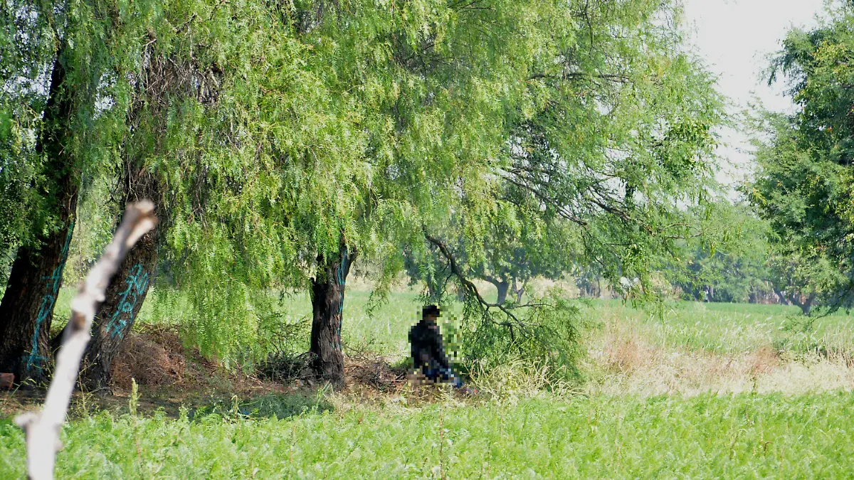 El cadaver quedo abajo d eun arbol ok