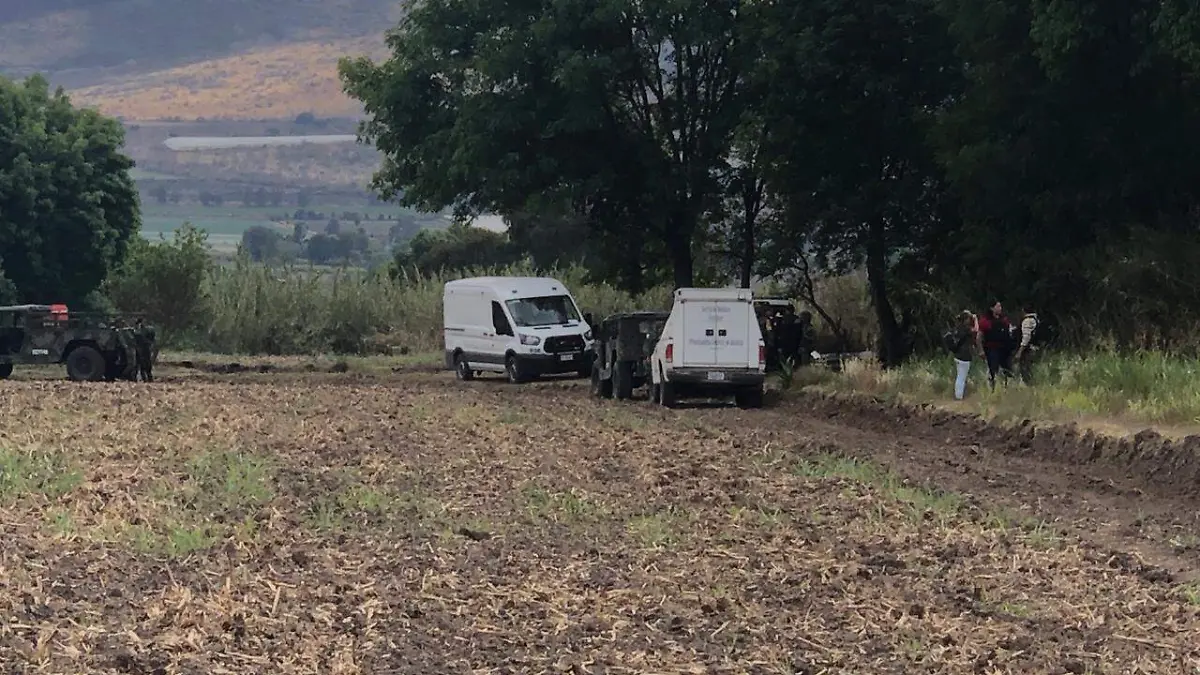 WhatsApp Image 2019-03-19 at 4.55.03 PM