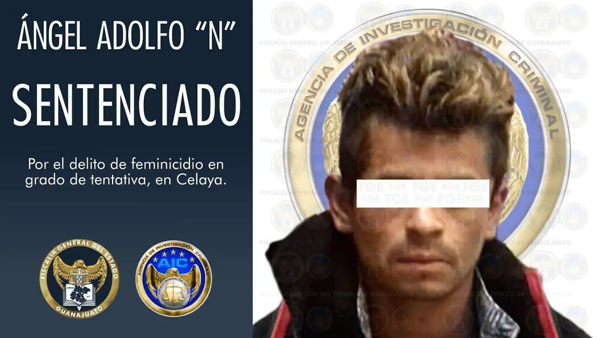 WhatsApp Image 2020-12-11 at 12.13.19 PM