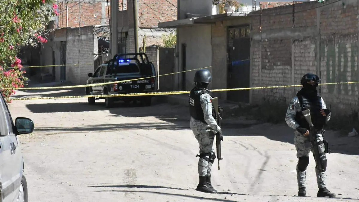 WhatsApp Image 2020-12-19 at 12.54.30 PM