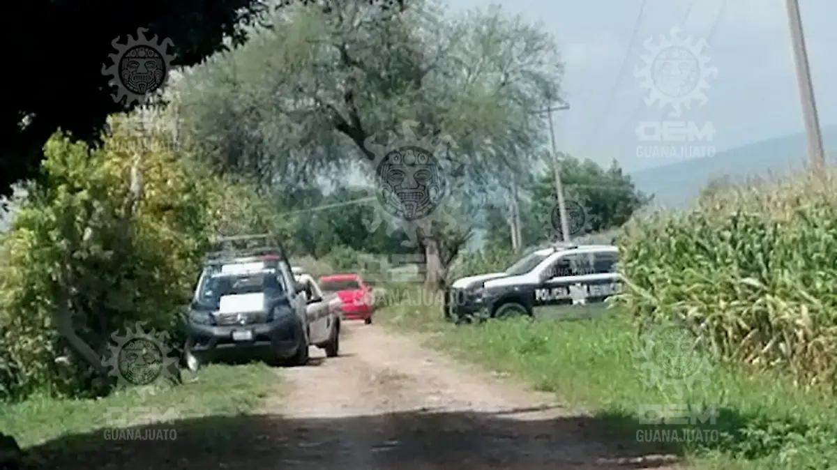 Imagen1
