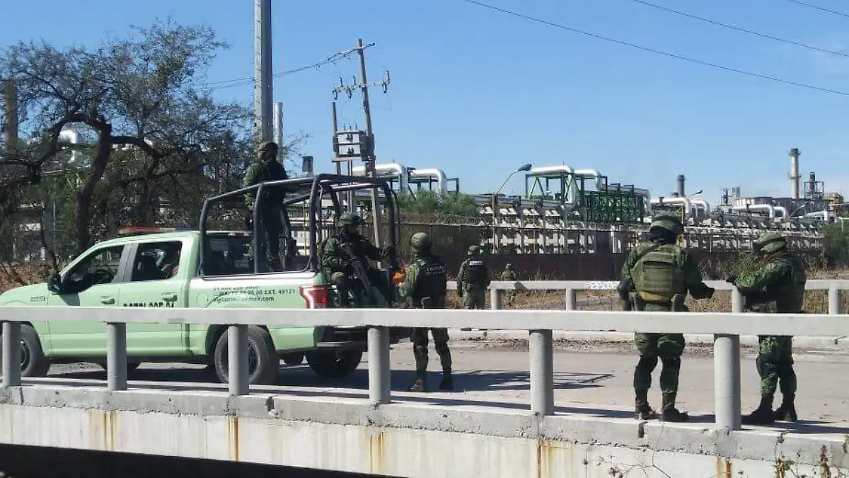 WhatsApp Image 2019-01-31 at 12.33.50 PM