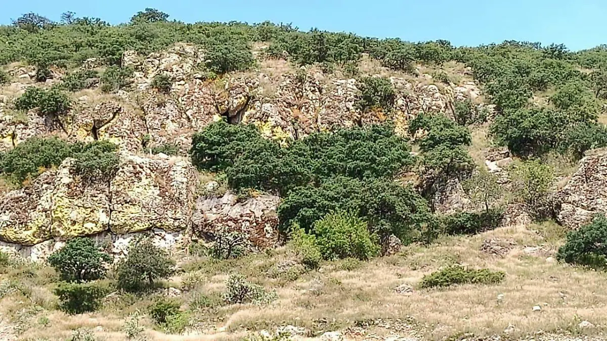 WhatsApp Image 2021-10-01 at 5.30.08 PM