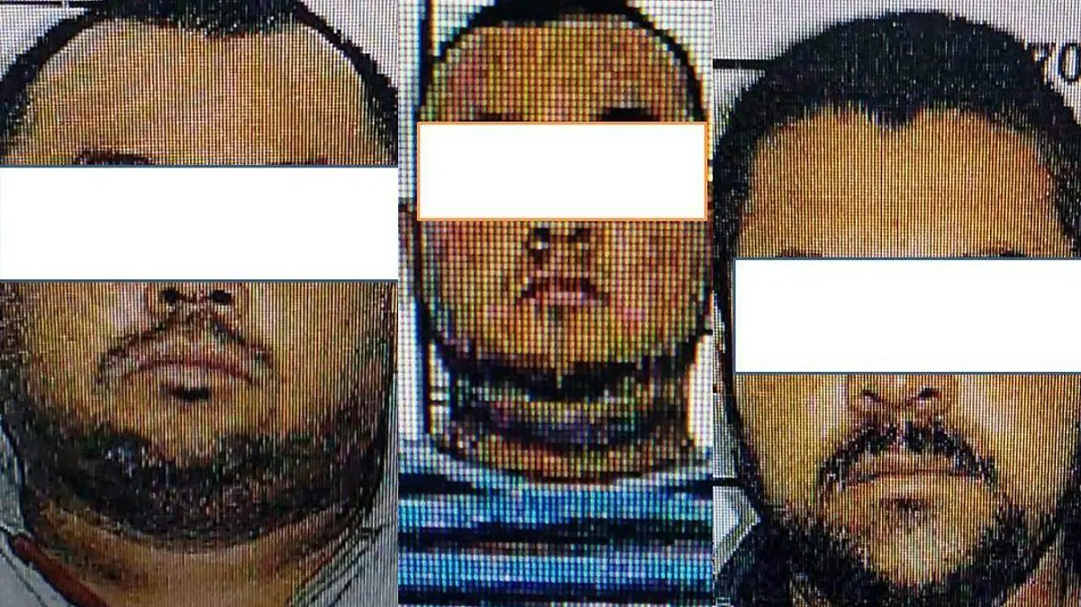 vinculados