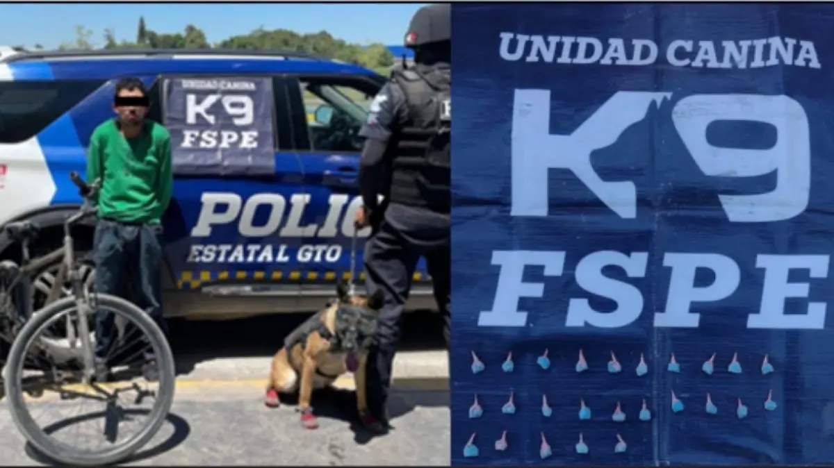 61533e11-d62c-477e-a8e2-78efb898e021