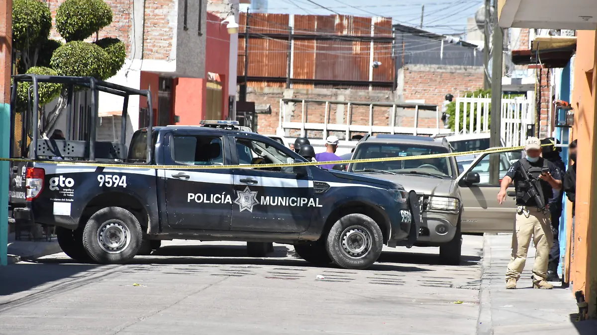 Muerto Jacarandas (5) ok