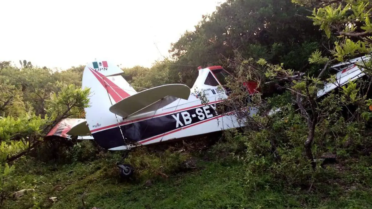 WhatsApp Image 2020-08-05 at 11.03.15 AM