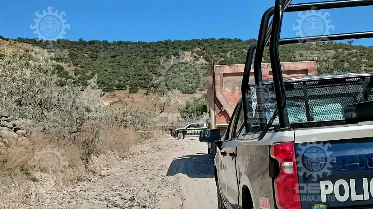 WhatsApp Image 2021-11-10 at 11.47.50 AM