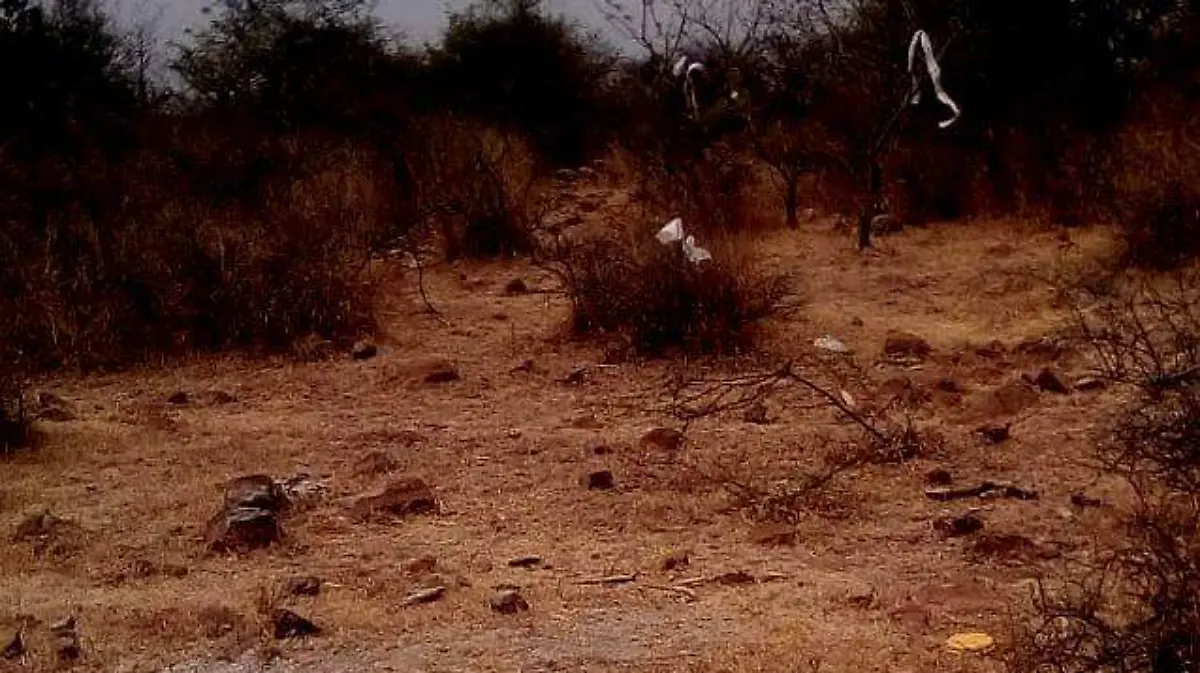 los restos fueoirn localizados en este predio ok