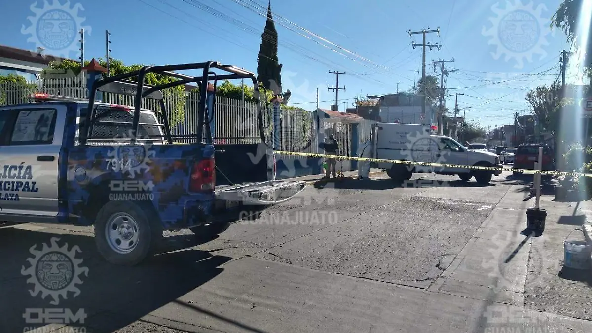 Regalo-en-el-mercado-cañitos