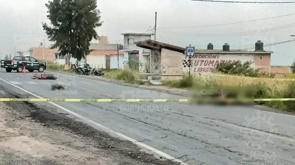 WhatsApp Image 2021-09-28 at 8.45.12 AM