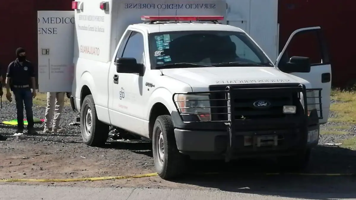 WhatsApp Image 2021-01-24 at 6.01.47 PM