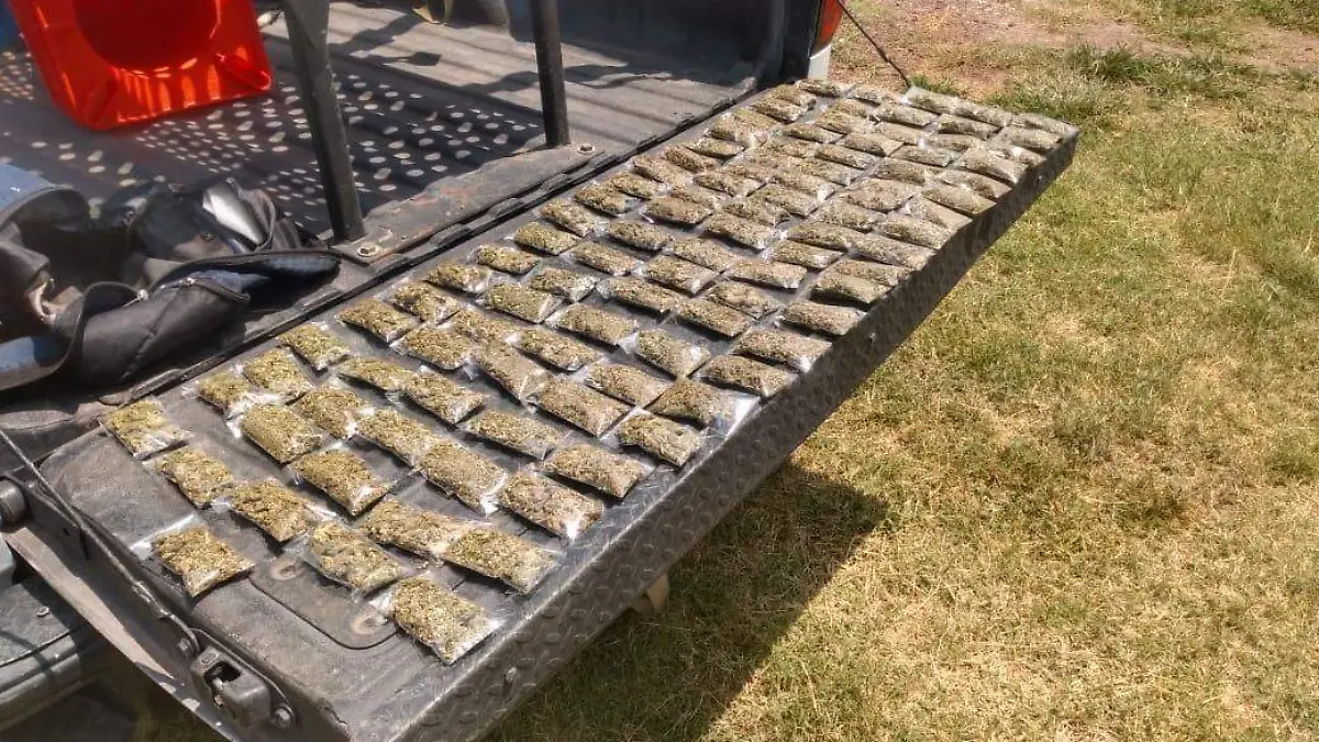 las bolsitas fueorn puestas a disposicion. 1