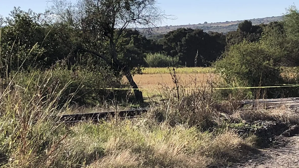 Ejecutado en El Tizar 02