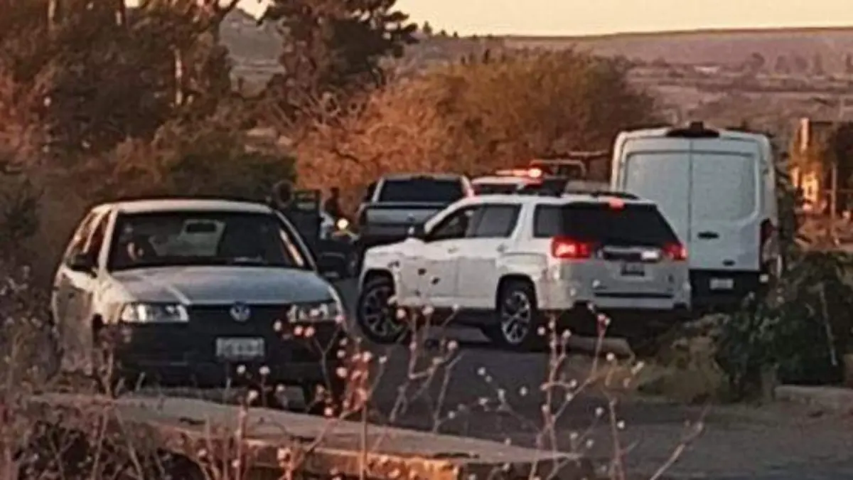 d81f70aa-457b-49a0-81b7-8c65109df91a