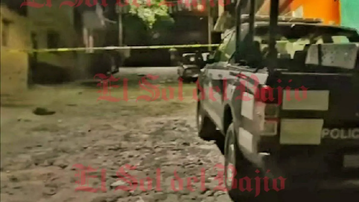 Imagen1
