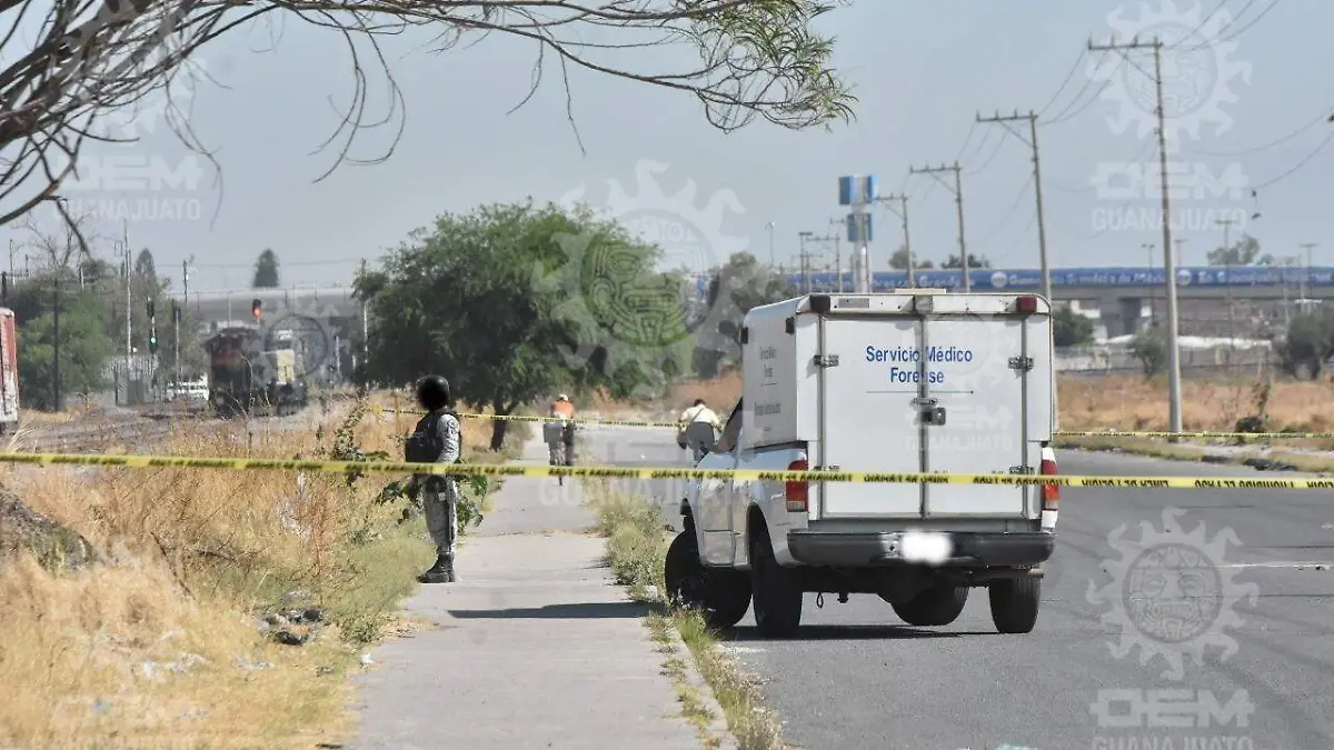 WhatsApp Image 2022-04-02 at 10.13.36 AM