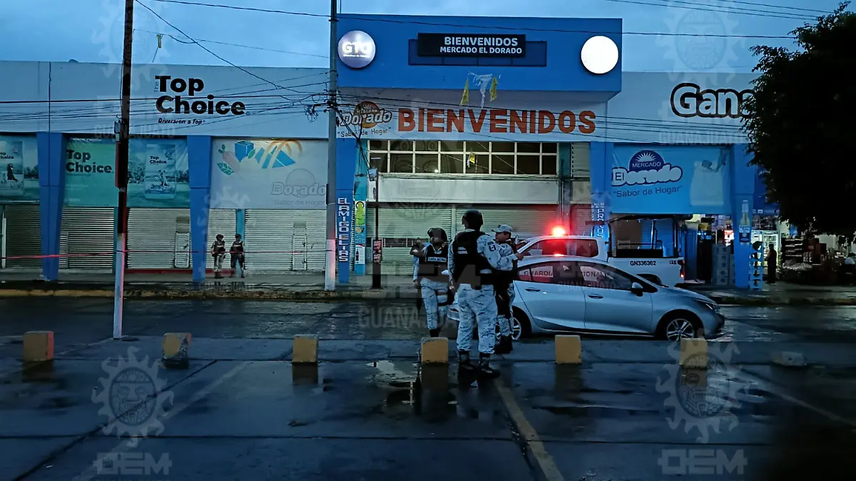 Imagen9