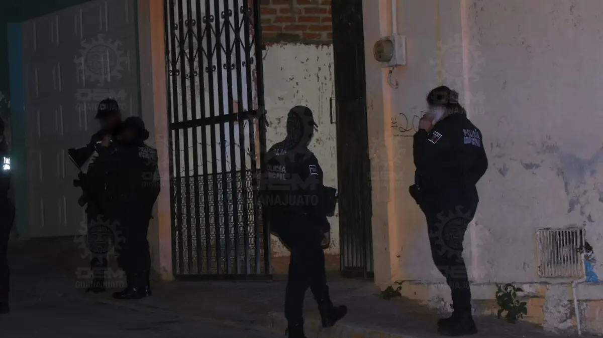 Imagen1