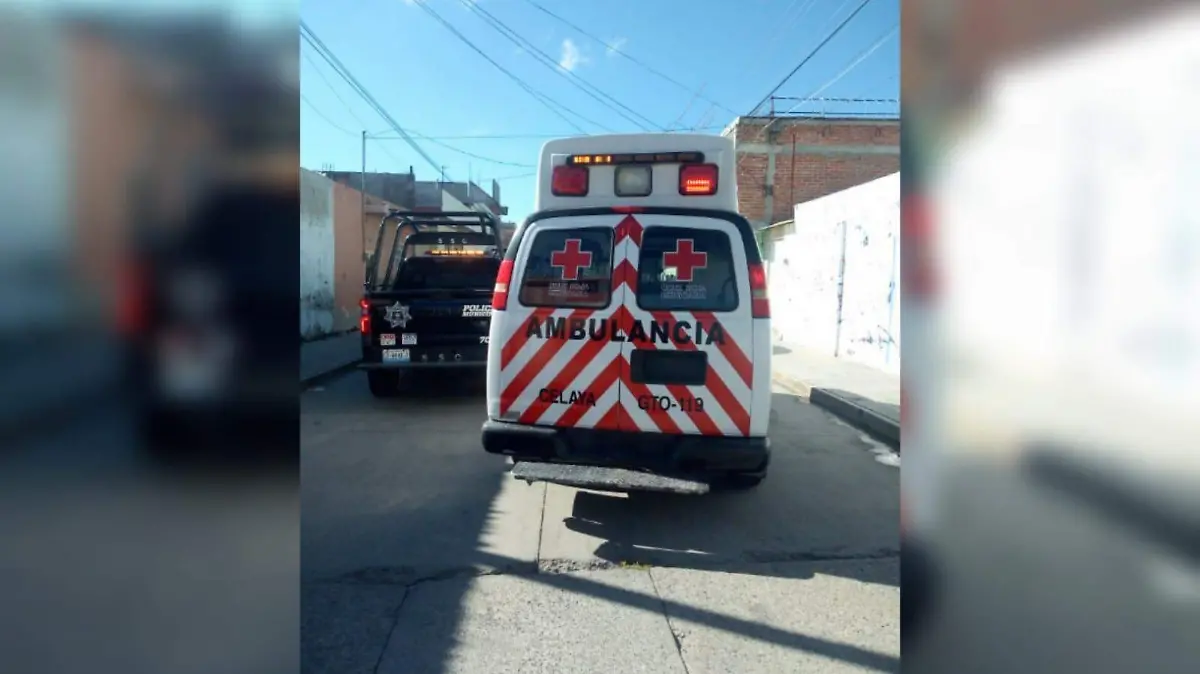 WhatsApp Image 2021-10-17 at 3.45.35 PM