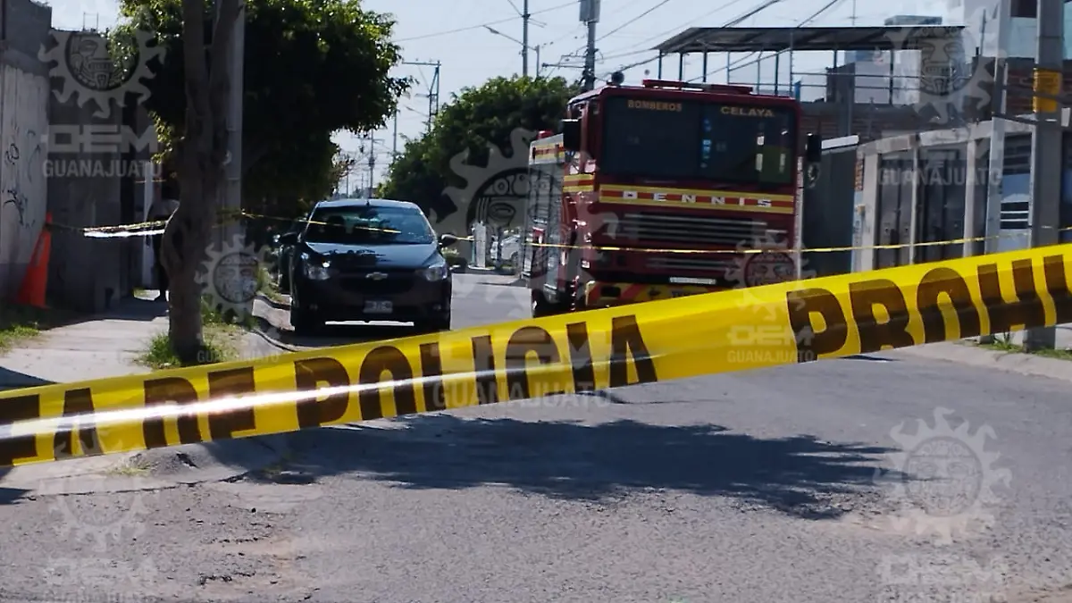 restos-coladera-olivos