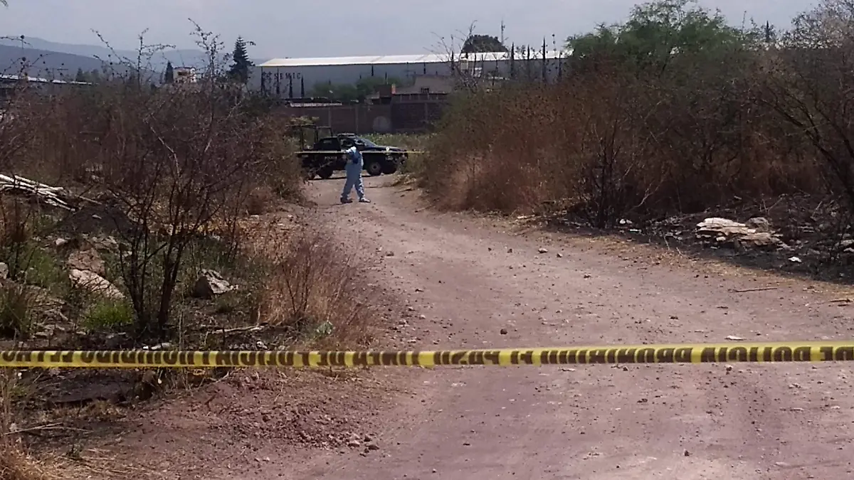 peritos proceso el area