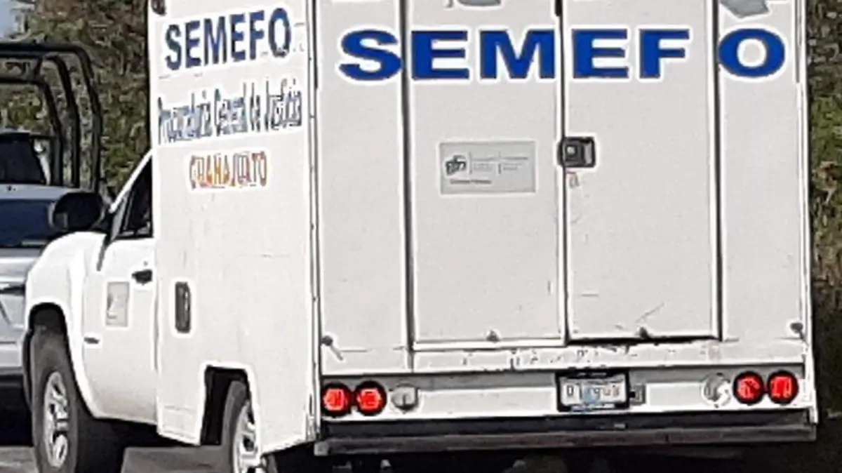 WhatsApp Image 2021-04-09 at 3.56.57 PM