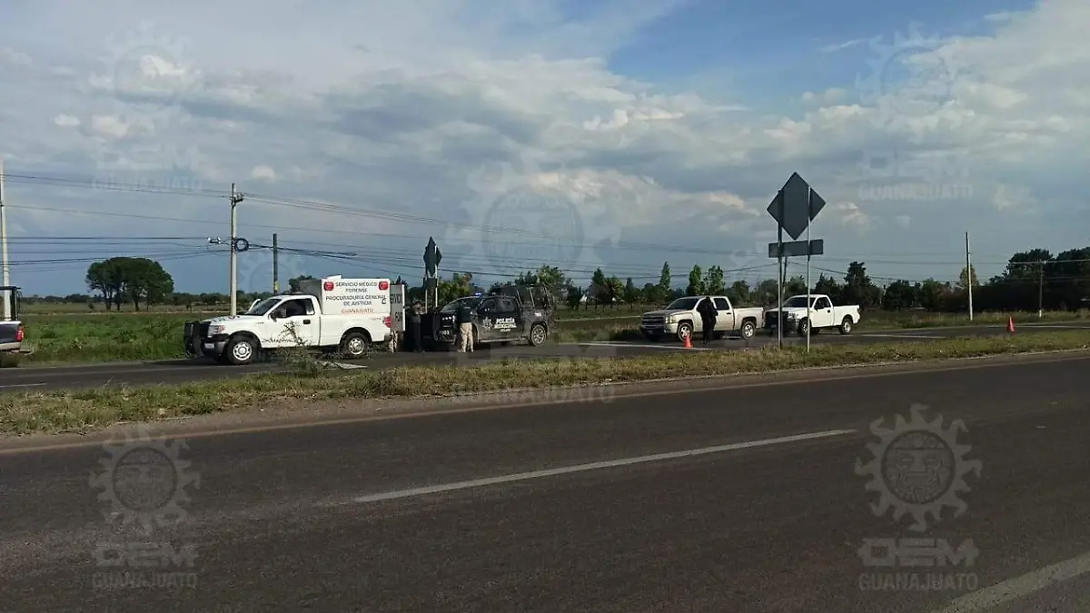 WhatsApp Image 2021-06-06 at 8.27.46 PM