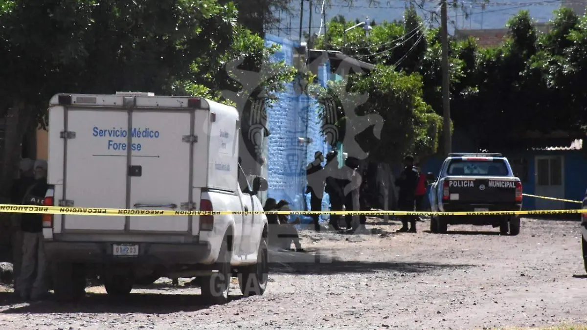 WhatsApp Image 2020-11-01 at 1.55.48 PM