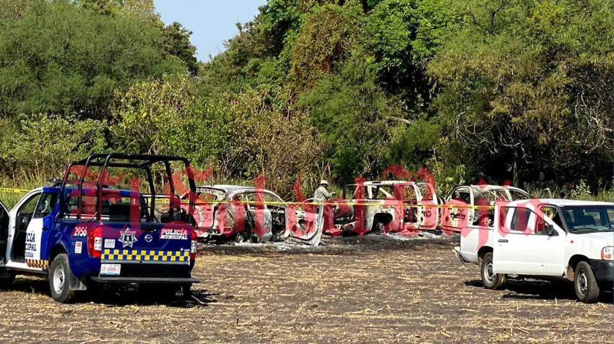 WhatsApp Image 2020-05-13 at 4.27.51 PM