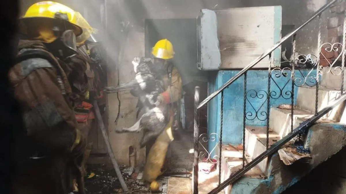 incendio 1 ok