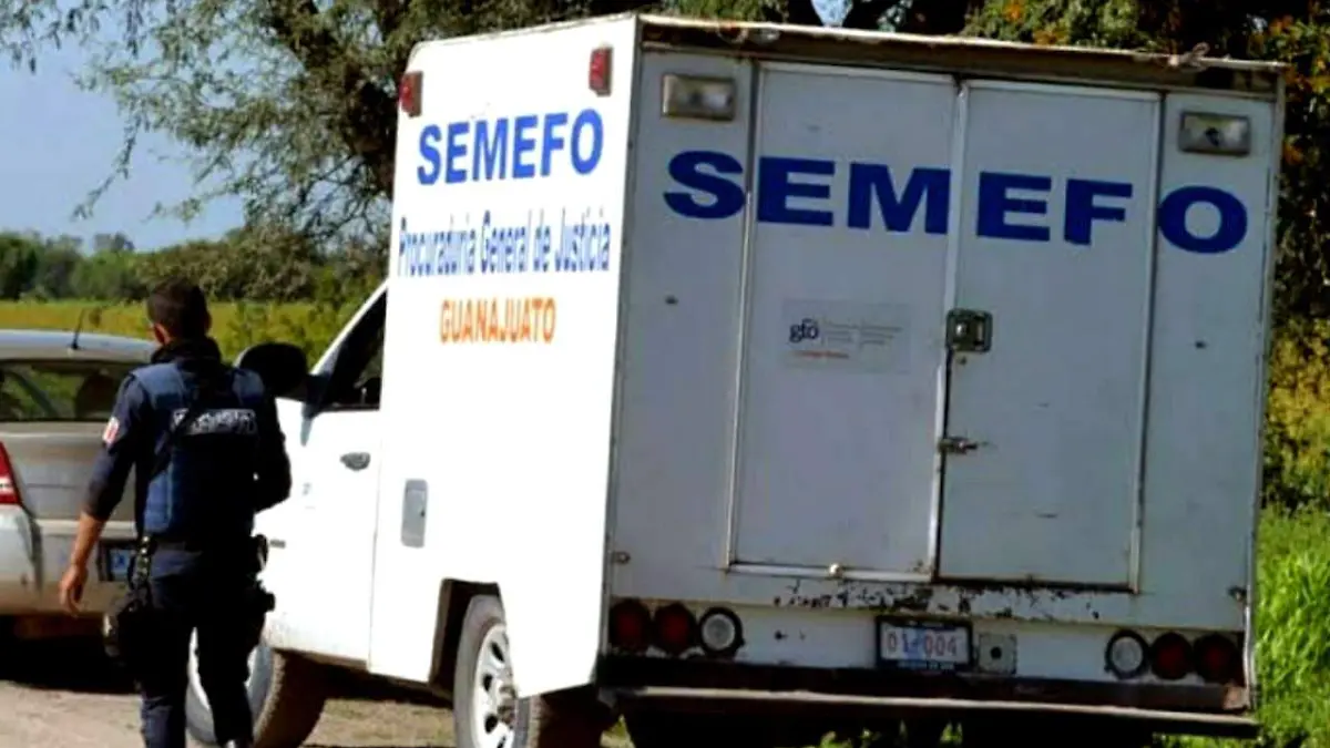 semefo