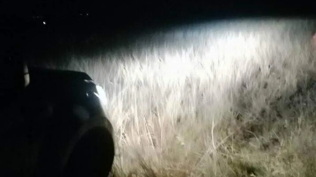 el cadaver estaba entre sembradios ok