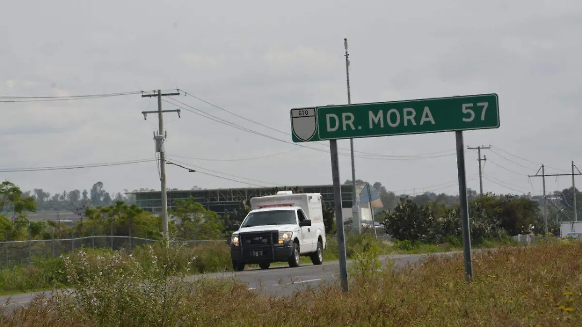 lso cadaveres fueron levantados por el semefo