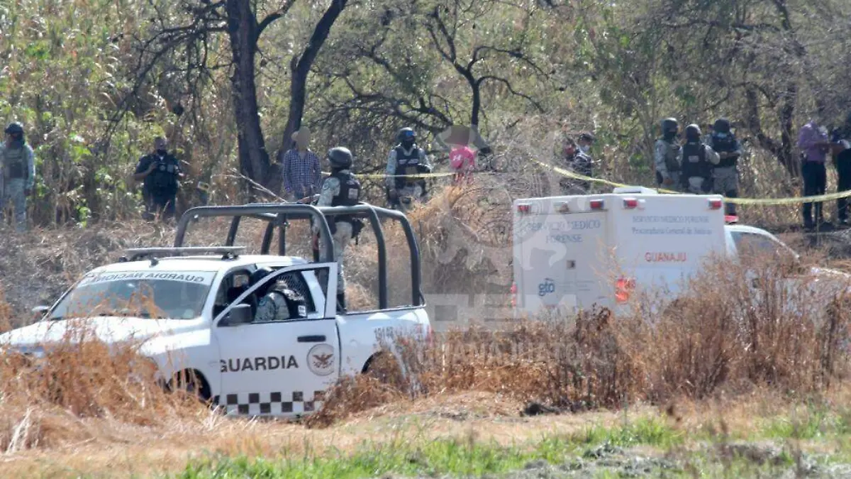 WhatsApp Image 2021-01-29 at 3.26.21 PM