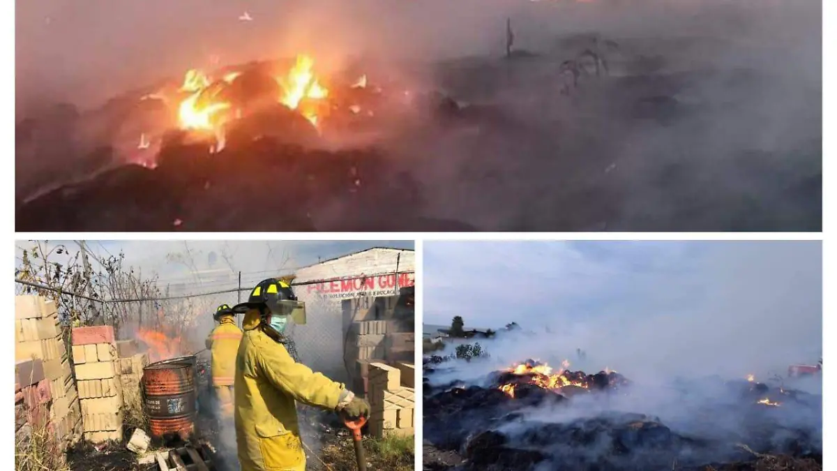 WhatsApp Image 2022-01-21 at 7.33.28 PM