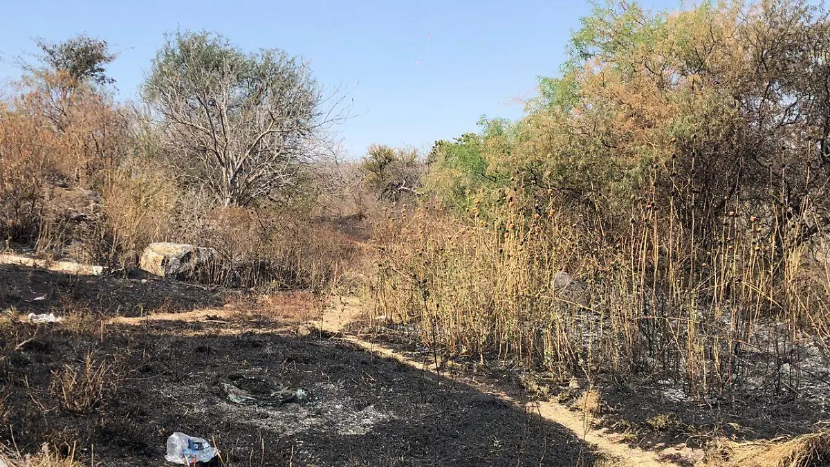 WhatsApp Image 2019-03-07 at 3.38.43 PM