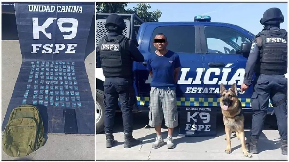 d070d003-d563-499a-a995-9483a7da4b0a