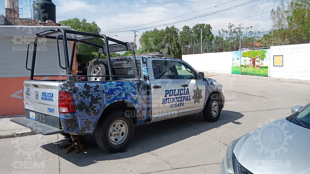 muerto-san-jose-guanajuato