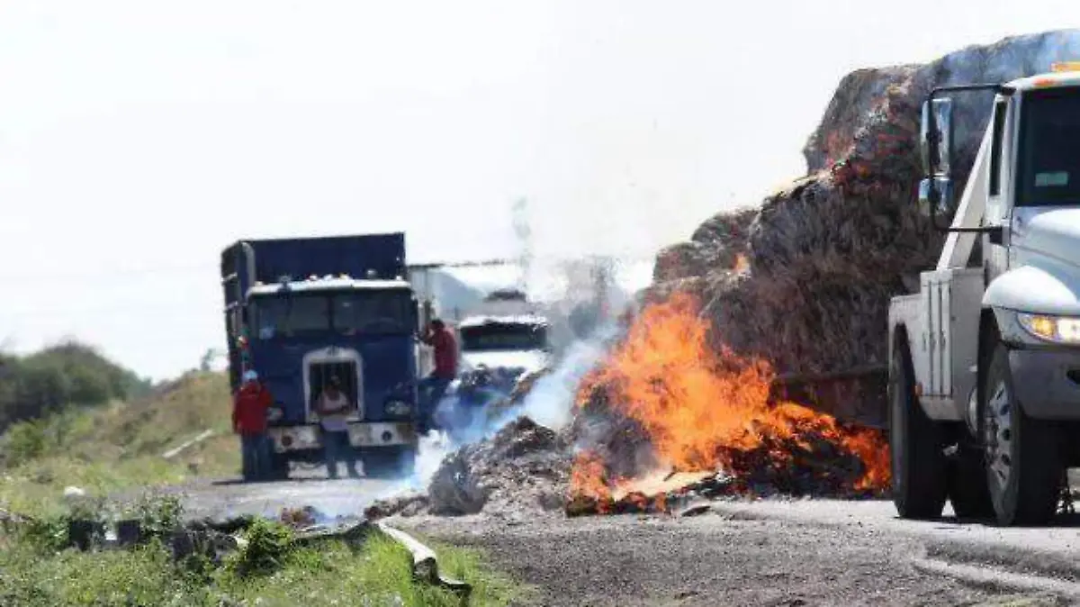 WhatsApp Image 2021-02-24 at 12.49.27 PM