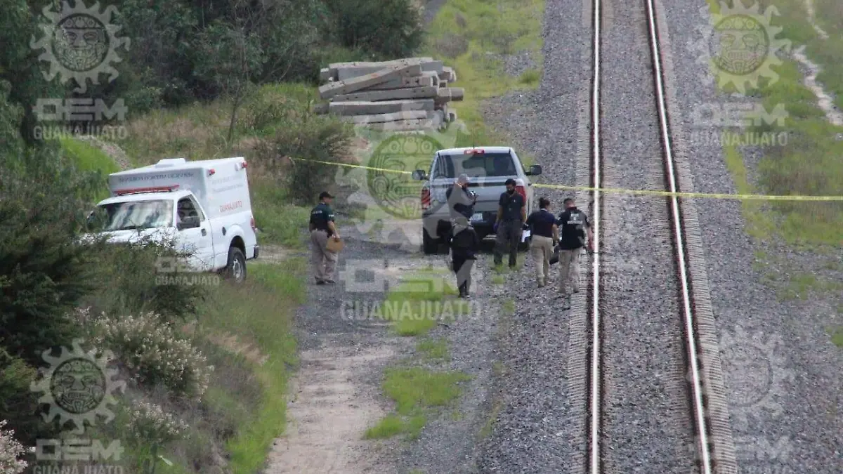 WhatsApp Image 2021-07-24 at 1.47.40 PM