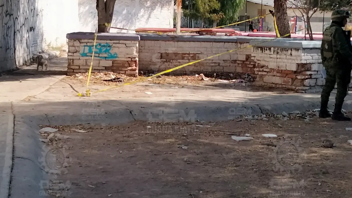 Imagen5