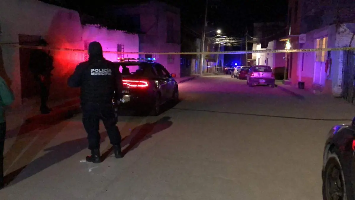 WhatsApp Image 2018-12-12 at 7.44.51 PM