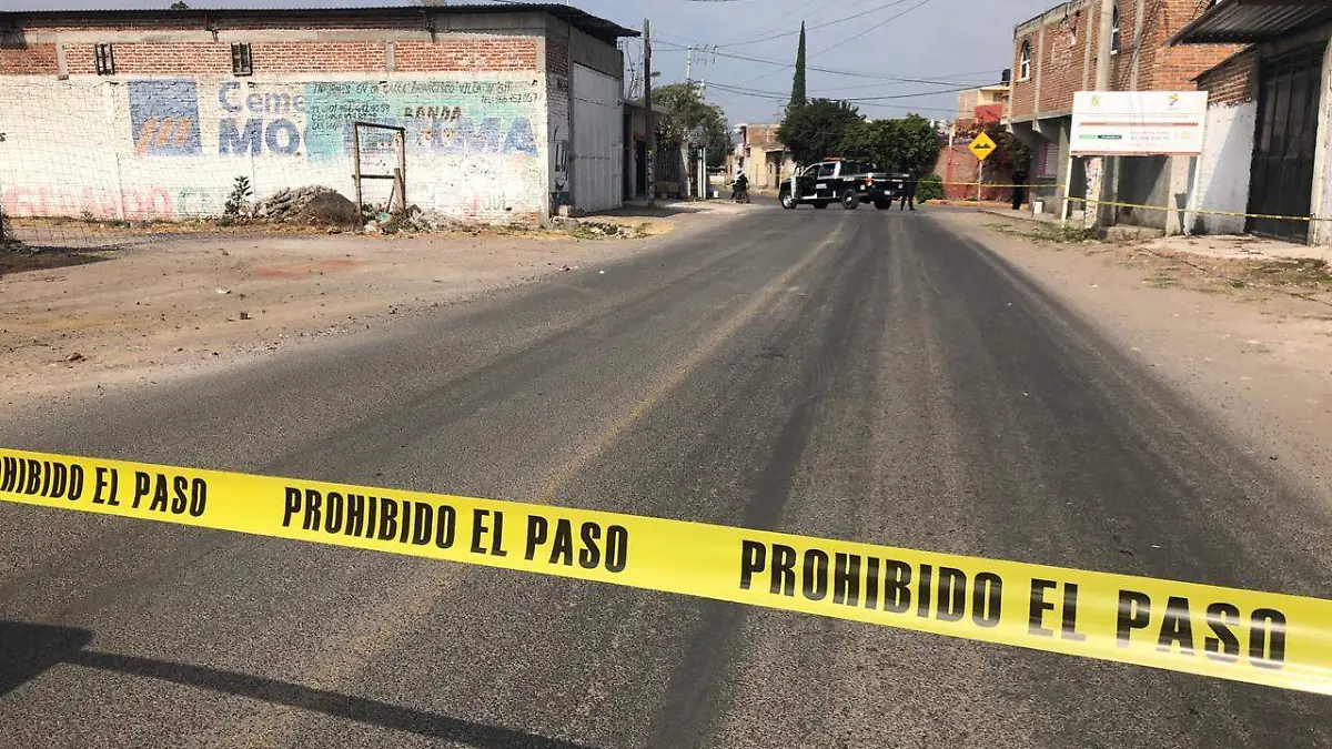 WhatsApp Image 2019-02-13 at 12.17.59