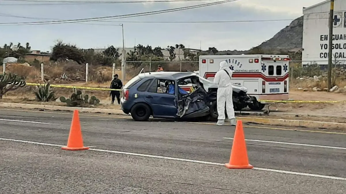 WhatsApp Image 2021-01-14 at 11.30.02 AM