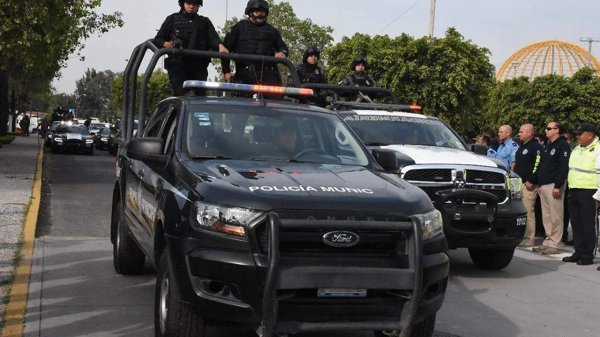 WhatsApp Image 2019-01-10 at 1.02.42 PM