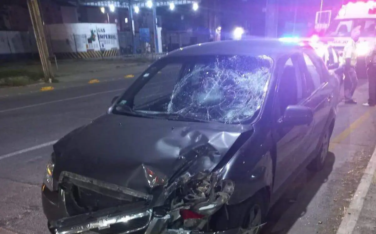 WhatsApp Image 2022-04-03 at 12.47.52 PM