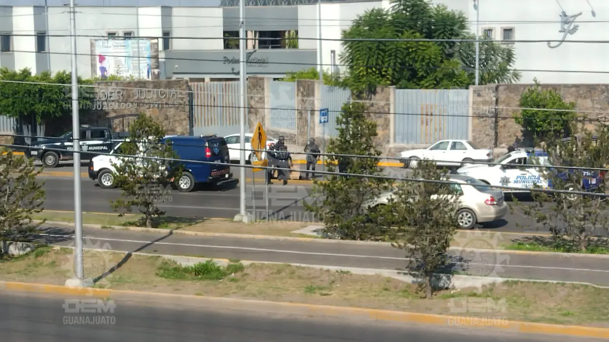 Imagen7
