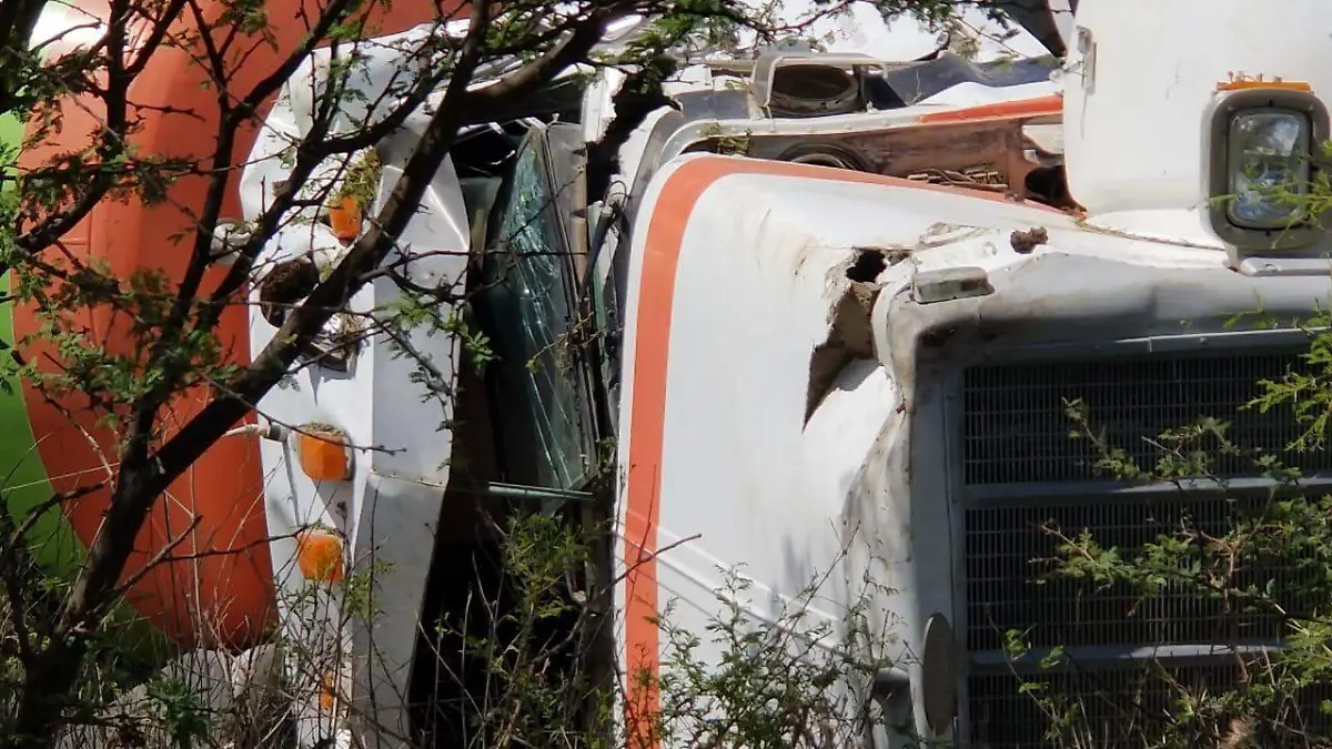 WhatsApp Image 2019-06-13 at 4.34.43 PM (1)